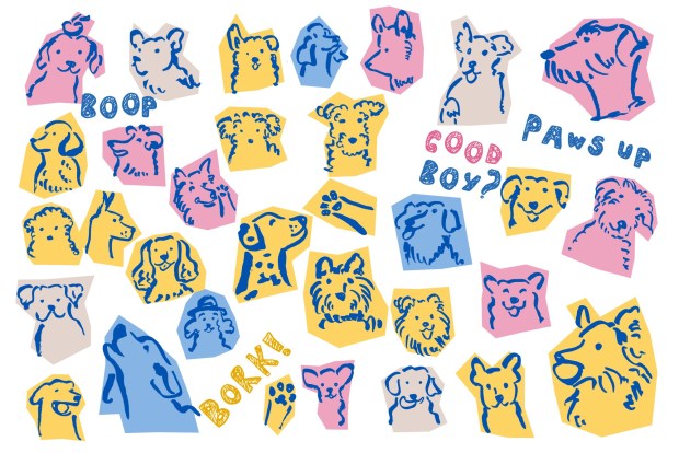 Dogs and books are a great combination. (Getty Images)