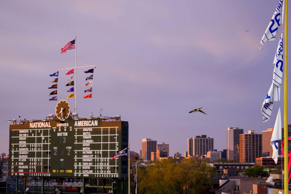 Weird & Wild: Scouting the Wrigley Field goose, ABS adventures, the Mike Trout Show
