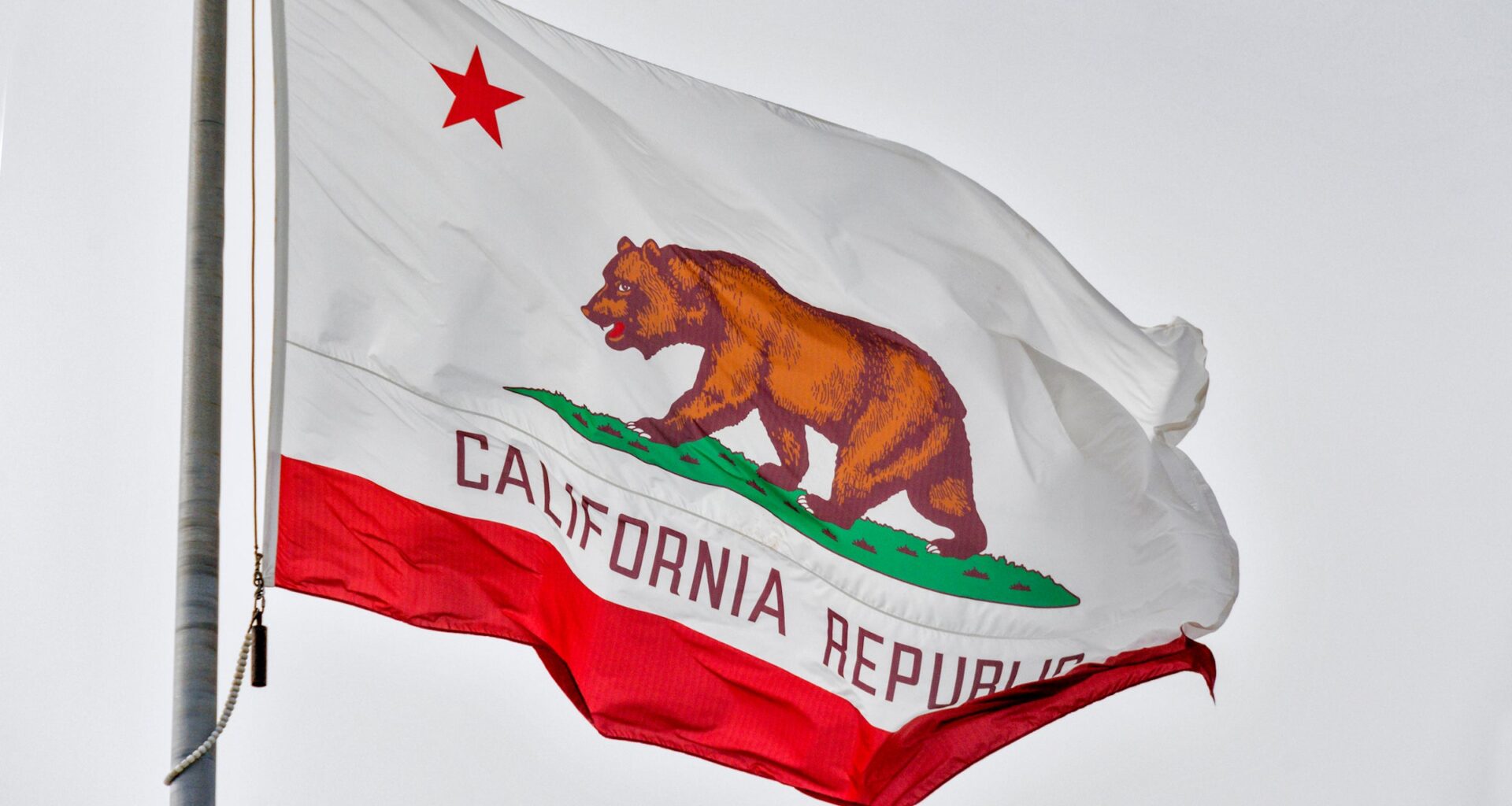 The California flag, featuring the iconic California grizzly bear, rippling in the wind