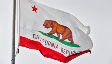 The California flag, featuring the iconic California grizzly bear, rippling in the wind