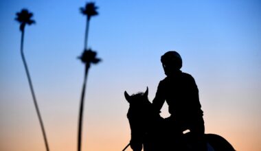 Horse dies after falling at Santa Anita’s Derby Day – NBC Los Angeles