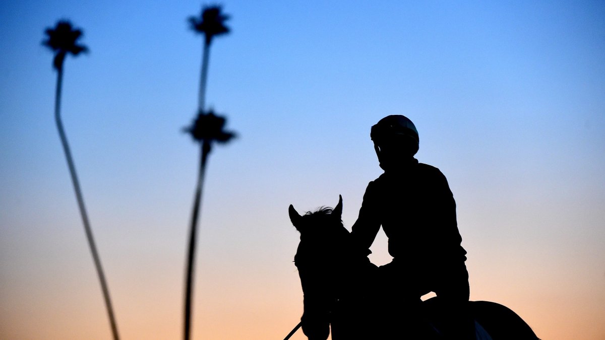 Horse dies after falling at Santa Anita’s Derby Day – NBC Los Angeles