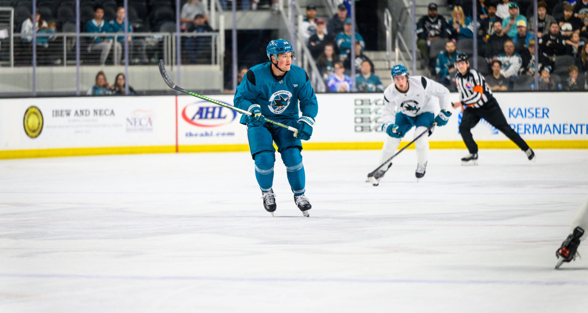 Pohlkamp Wins Natty, Is He Headed To Sharks?