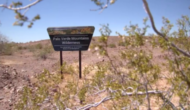 Senior couple rescued from desert near California-Arizona border
