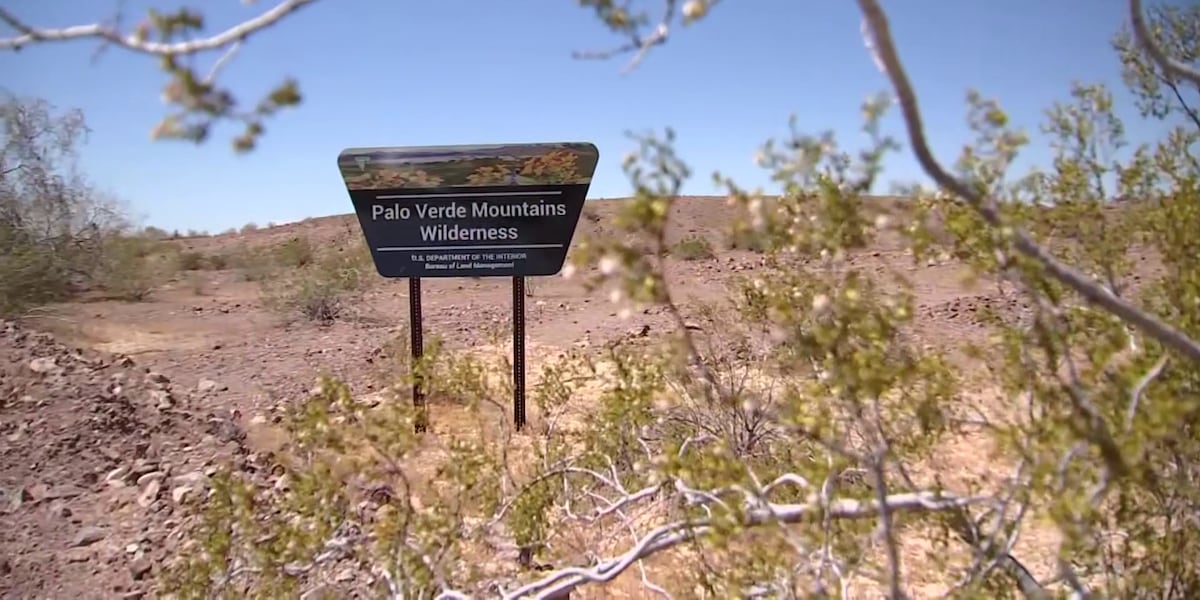 Senior couple rescued from desert near California-Arizona border