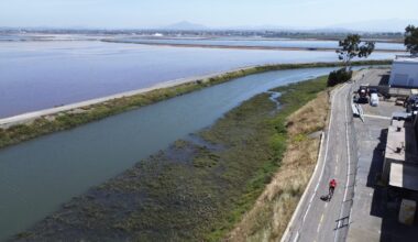 South Bay’s bayshore bikeway construction funds waitlisted
