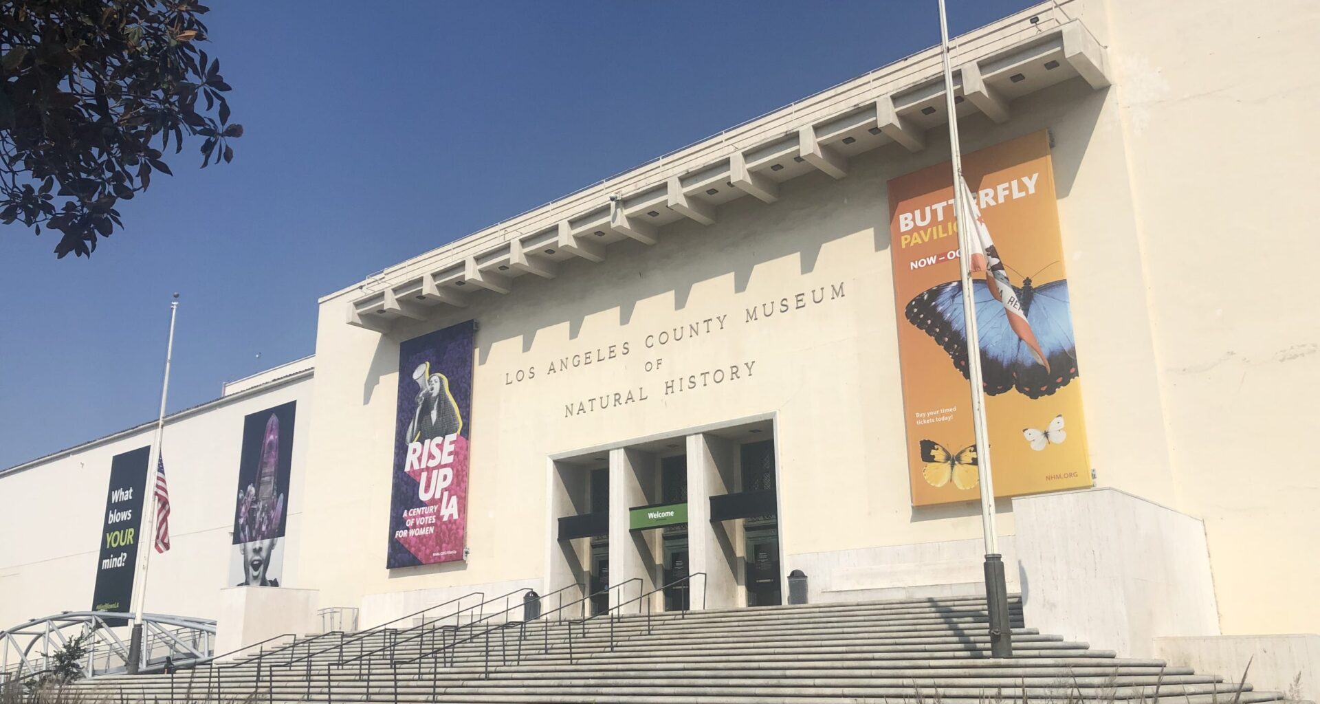 Orca Exhibit Debuts at Natural History Museum