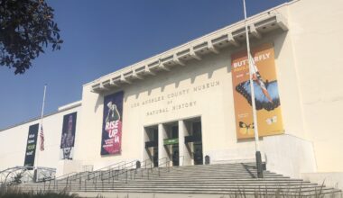 Orca Exhibit Debuts at Natural History Museum
