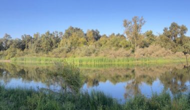 Fresno gets a state park in Gov. Gavin Newsom's Earth Day plan