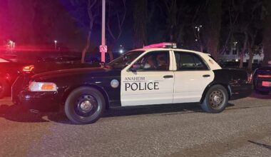 2 killed after crashing into tree in Anaheim | 2 Urban Girls