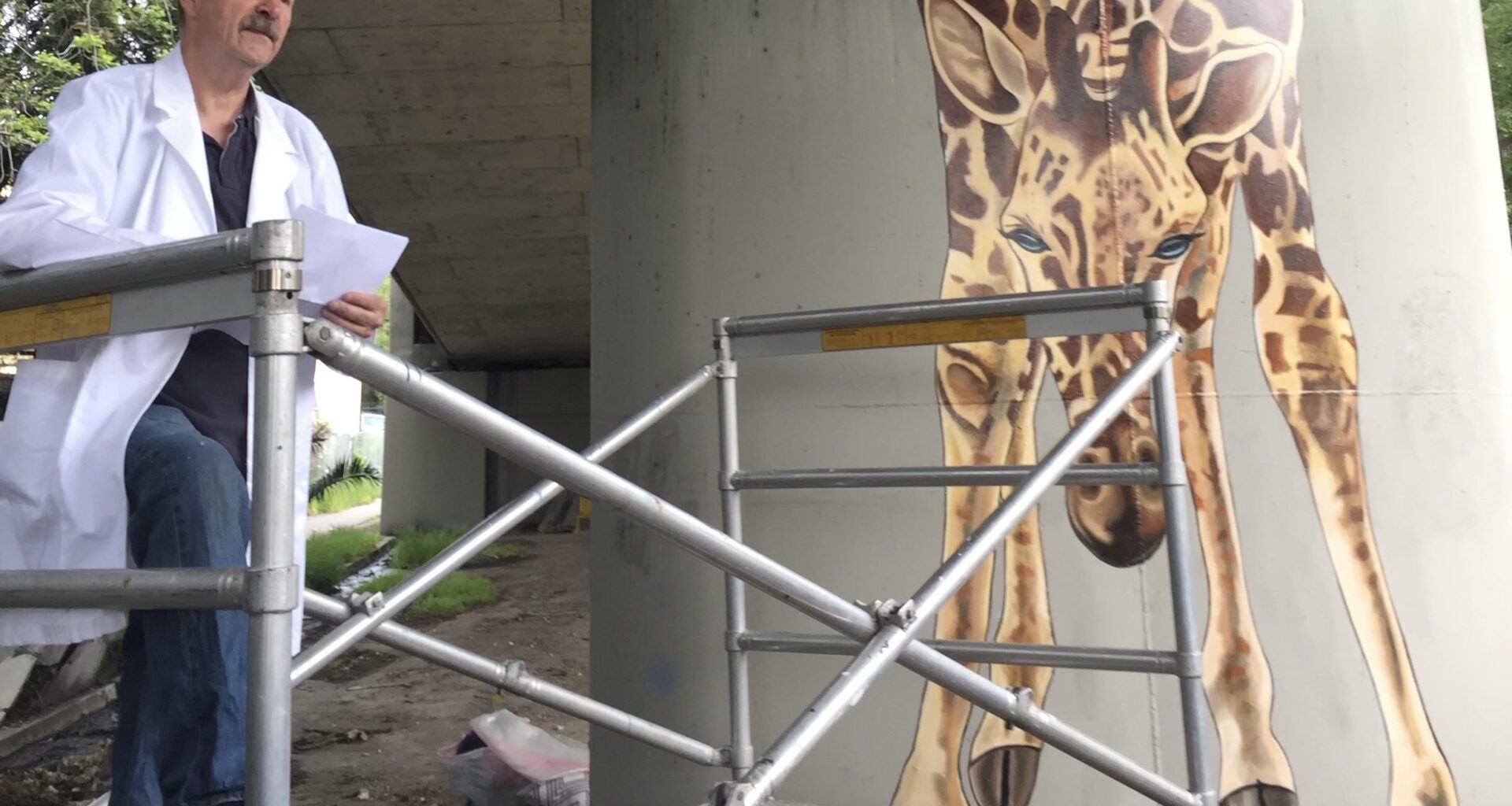 Oakland muralist Dan Fontes, known for his giraffes, dies at 67