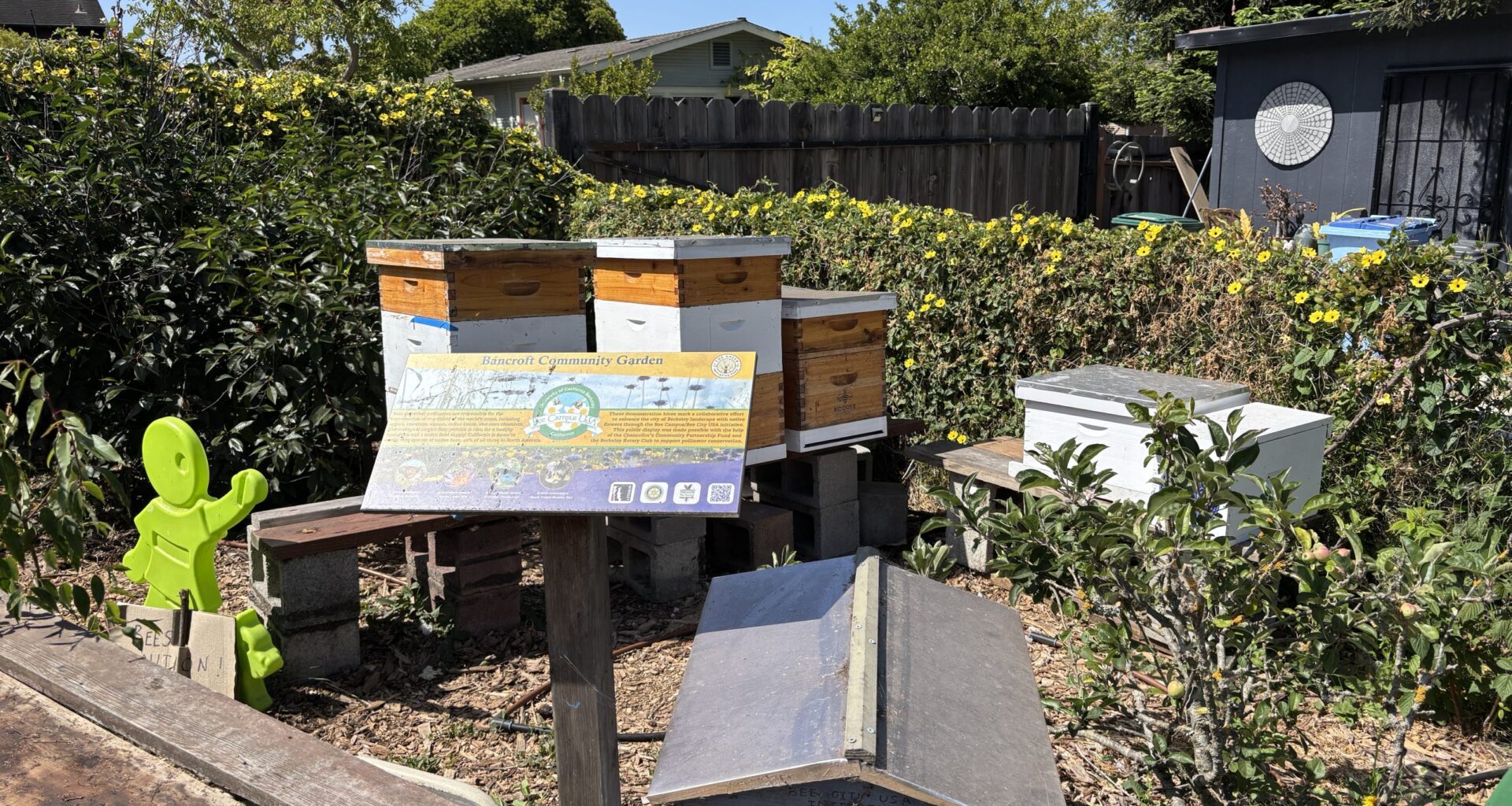 Earth Day celebrations, beehive tour, drive robots