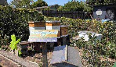 Earth Day celebrations, beehive tour, drive robots