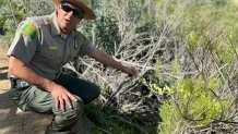 Supervising Park Ranger, Carey Goldstein, points out some of the native  plants hikers can now see along the new trail in Ruffin Canyon, April 17, 2026.