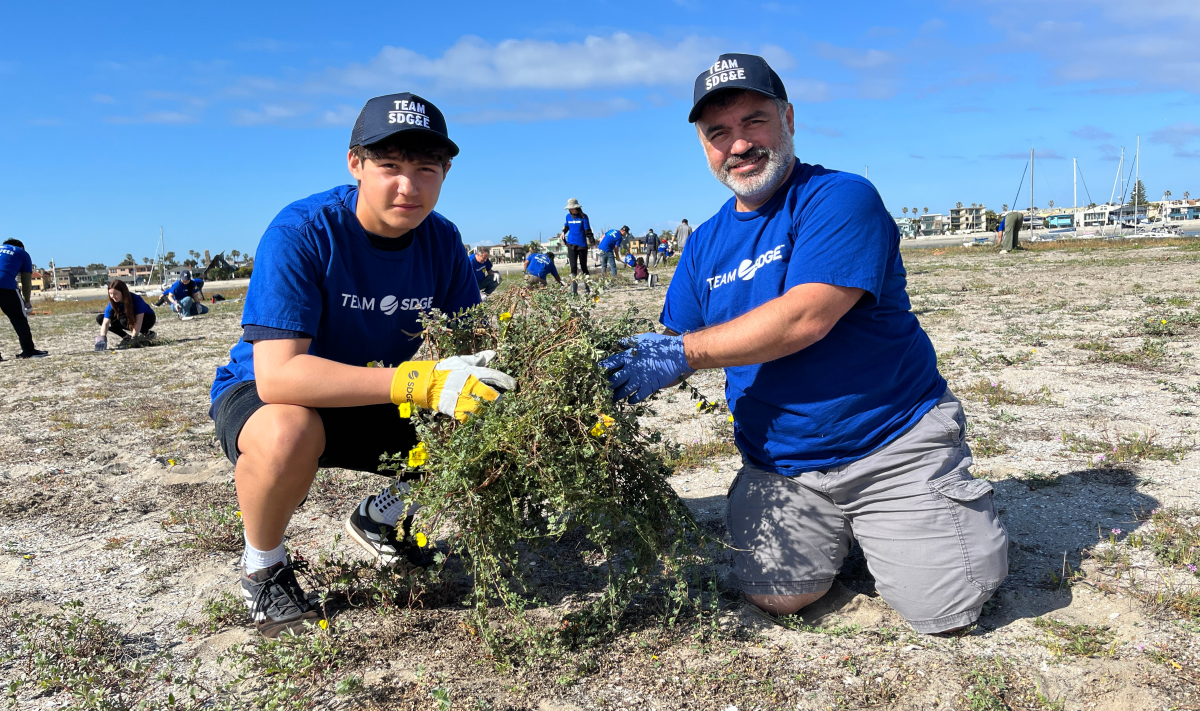 Volunteers restore critical habitat for endangered least tern 