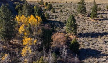 The Washoe Tribe of Nevada and California secures ancestral land with plans of restoration and preservation