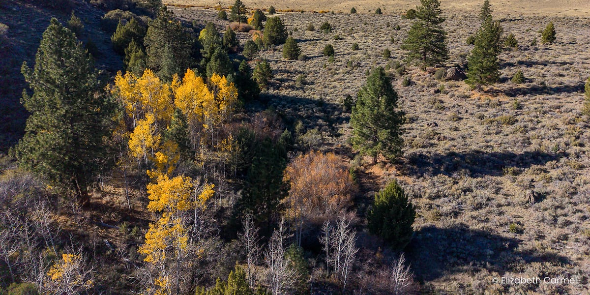 The Washoe Tribe of Nevada and California secures ancestral land with plans of restoration and preservation