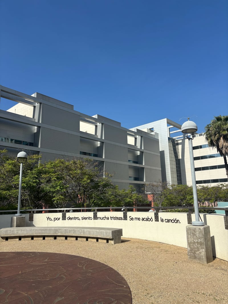 In Spanish, a mural reads, "Deep down, I feel a great sadness. My song has come to an end."