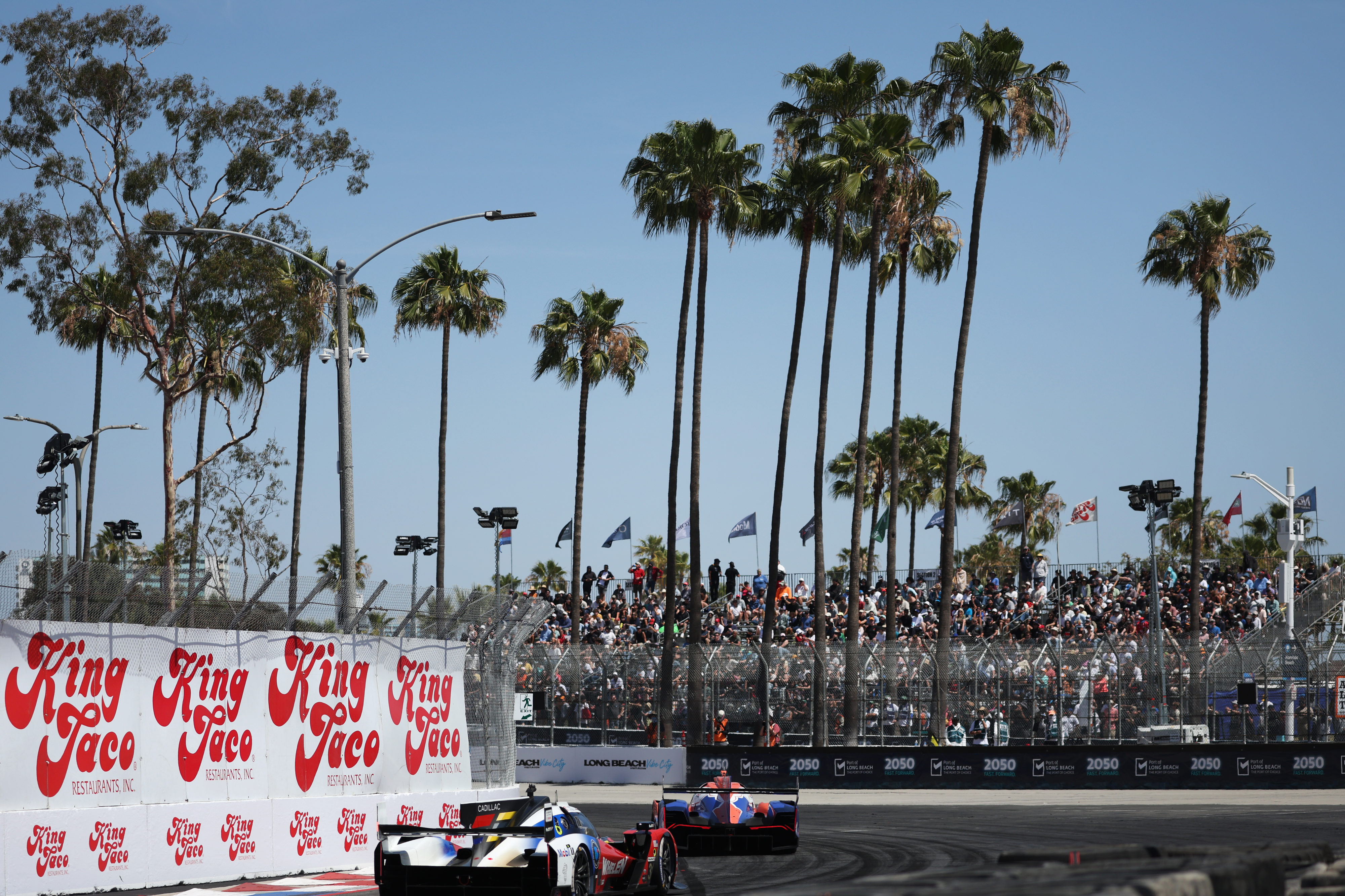 GTP cars hustle around the track in the IMSA race...