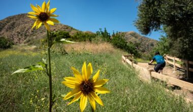 Rain — possibly heavy — expected this weekend in Southern California – Orange County Register