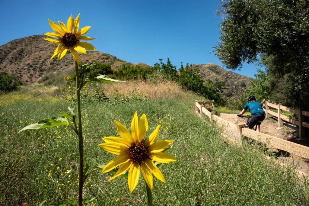 Rain — possibly heavy — expected this weekend in Southern California – Orange County Register