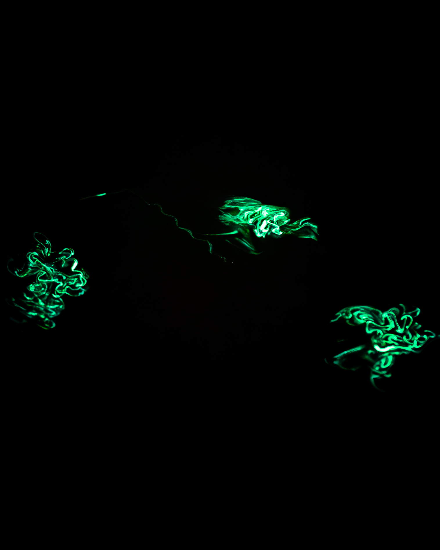 Bioluminescent “firewormsâ engaging in a mating ritual in Colorado Lagoon...