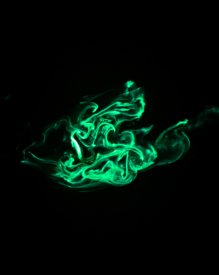 Bioluminescent “firewormsâ engaging in a mating ritual in Colorado Lagoon...