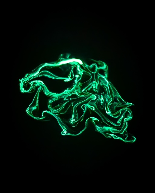 Bioluminescent “firewormsâ engaging in a mating ritual in Colorado Lagoon...