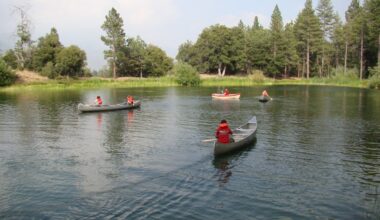 It’s time to once again help send kids back to the mountains this summer – Press Telegram