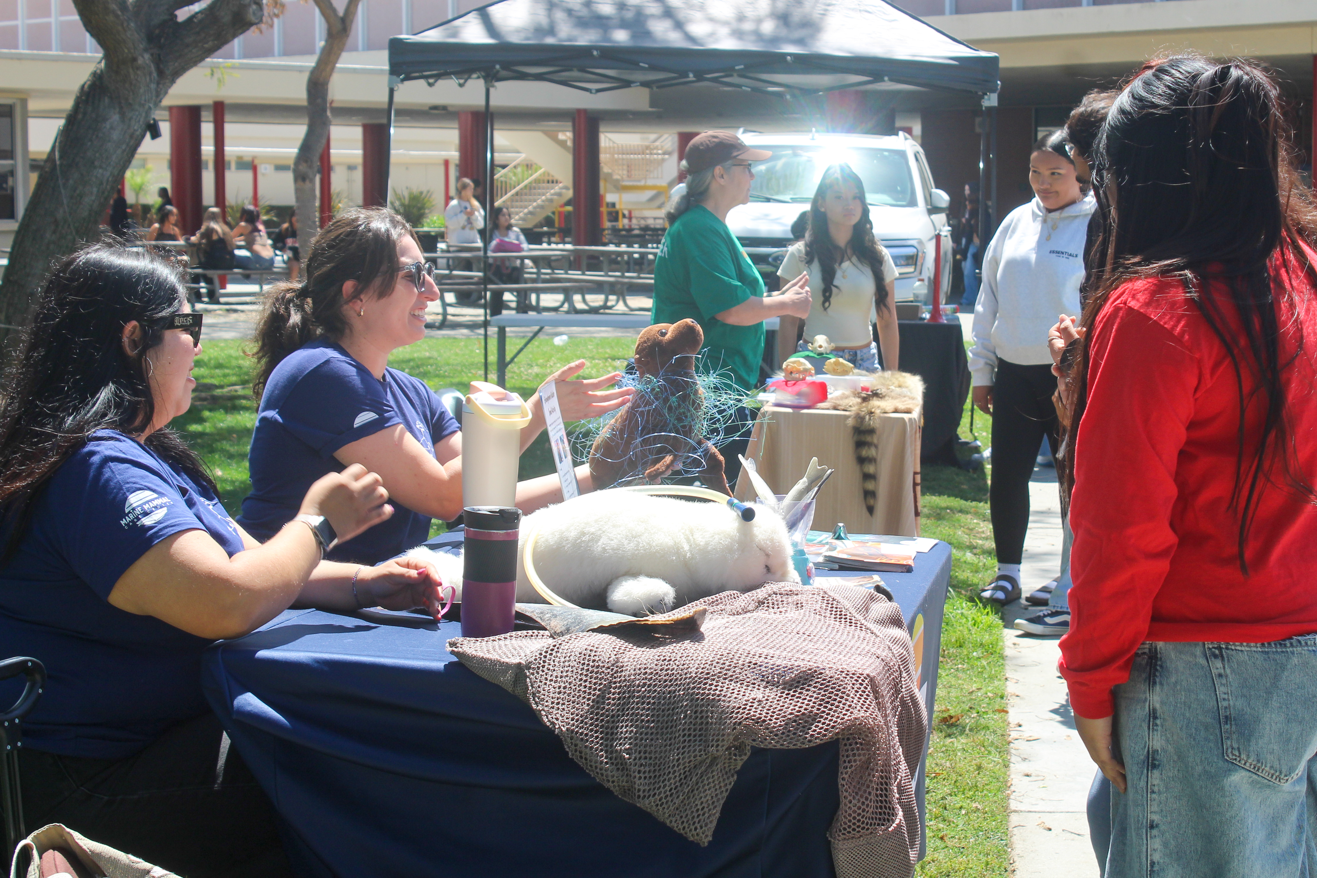 Lakewood High School students at the Marine Mammal Care Center...