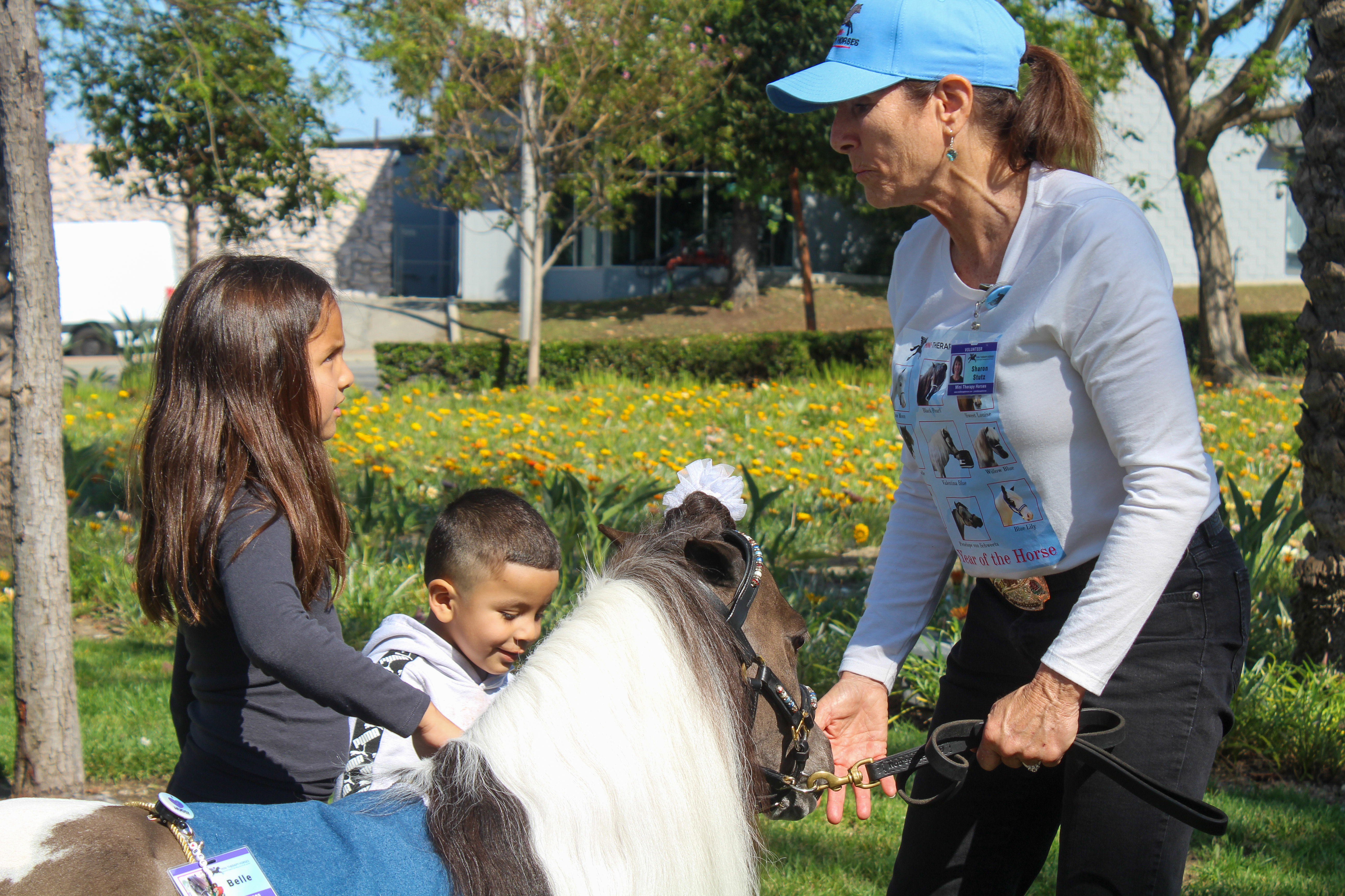Children and families interacted with mini therapy horses at Miller...