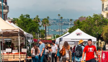101 Things to Do in San Diego This Summer, According to Locals