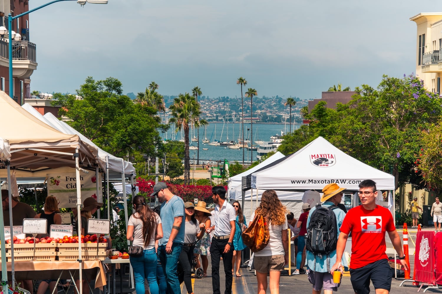 101 Things to Do in San Diego This Summer, According to Locals