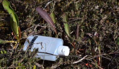 After chemical industry lobbying, EPA considers dropping clean air protections for plastic waste recycling 