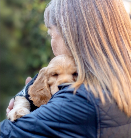 Adopt-a-Pet Day organizers aim to find homes for 5k shelter animals – The Mercury News