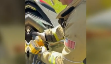 Long Beach Fire Department tests out new equipment