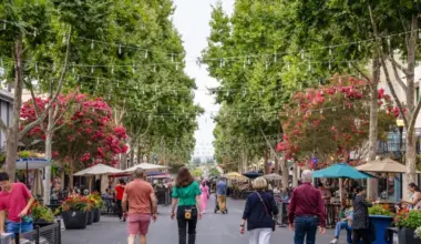 Mountain View could allow public drinking in downtown