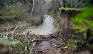 Mountain View fined $1.2M for sewage pollution in creek