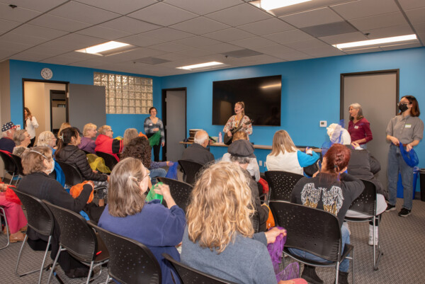 Social Activities Volunteers: What is the program like?