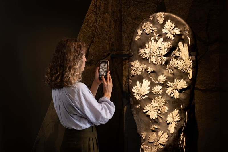 NHM UNearthed exhibition