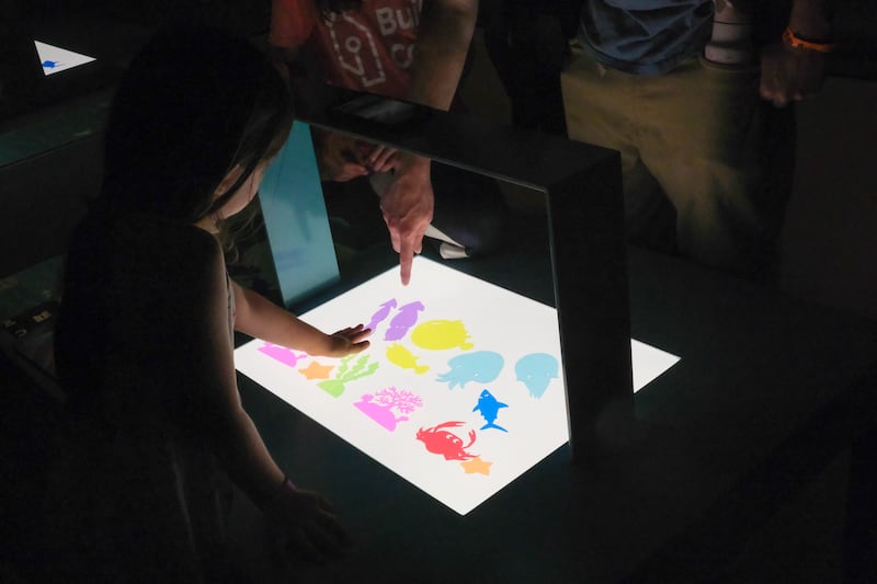 Visitors arrange figures to create stop-motion animations at an interactive station.