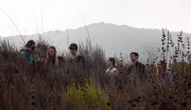 Planting Events and Volunteer Activities