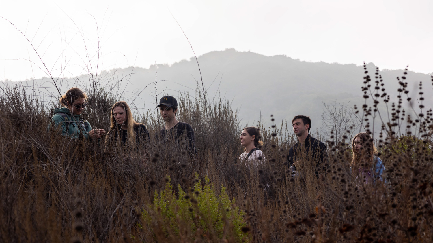 Planting Events and Volunteer Activities