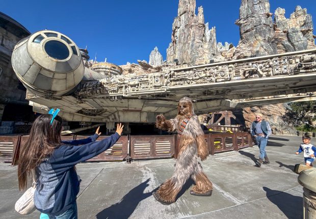 Chewbacca greets visitors at Star Wars: Galaxy's Edge inside Disneyland at the Disneyland Resort Anaheim, CA, on Friday, January 16, 2026. (Photo by Jeff Gritchen, Orange County Register/SCNG)