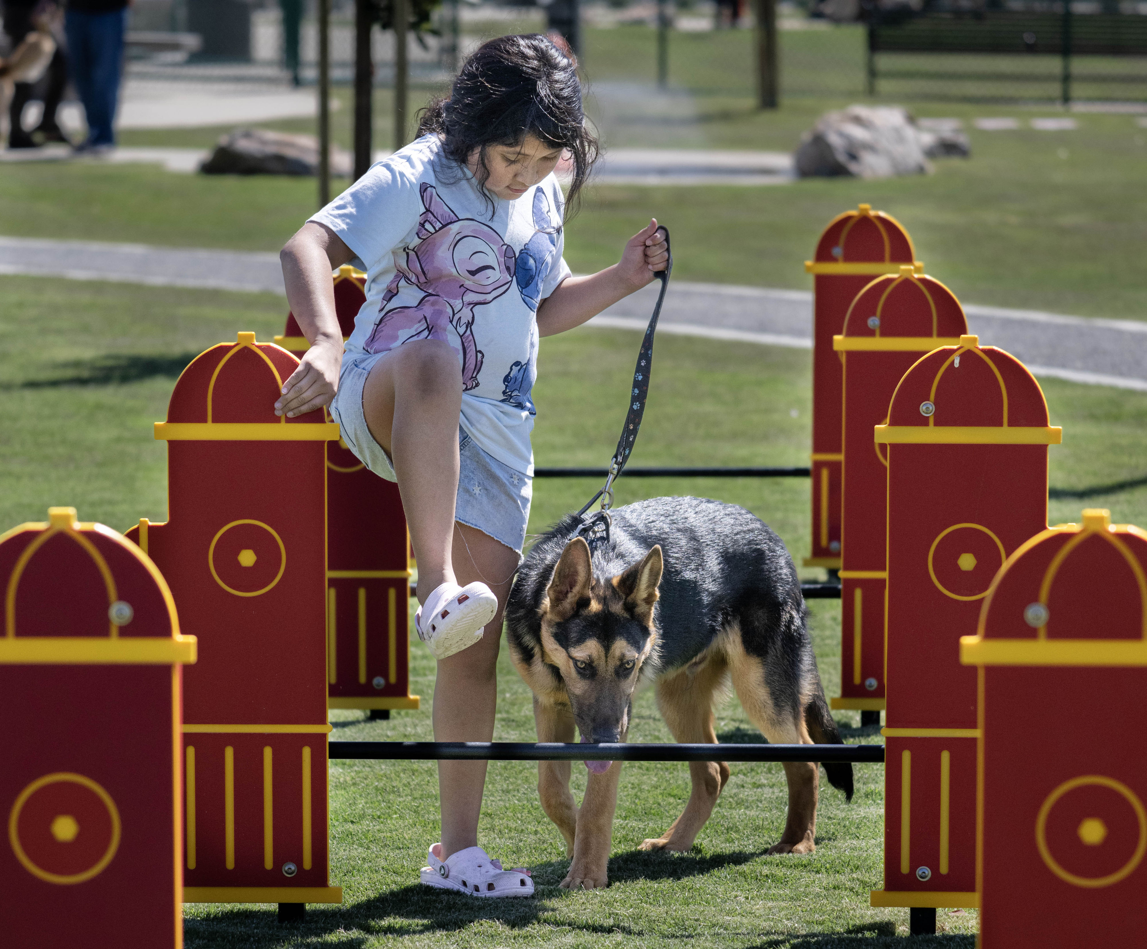 Allison Palacios, 7, takes her puppy, Milo, through the agility...