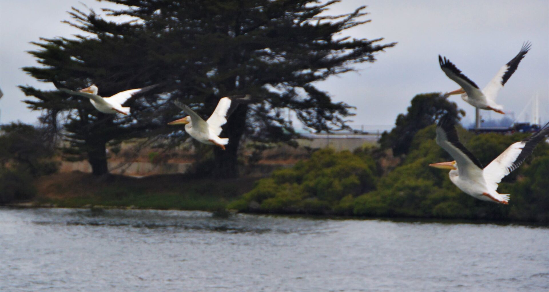 Man, woman found dead Sunday in Berkeley’s Aquatic Park