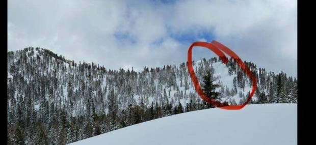 Perry's Peak (8,320 feet) near Castle Peak in the Sierra Nevada, where a deadly avalanche starting in the area circled in red struck a guided backcountry ski group on Feb. 17, 2026. (Sierra Avalanche Center)