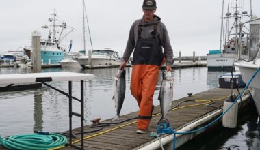 A charter boat deck hand arrives on the fishing docks with two Chinook salmon in hand.