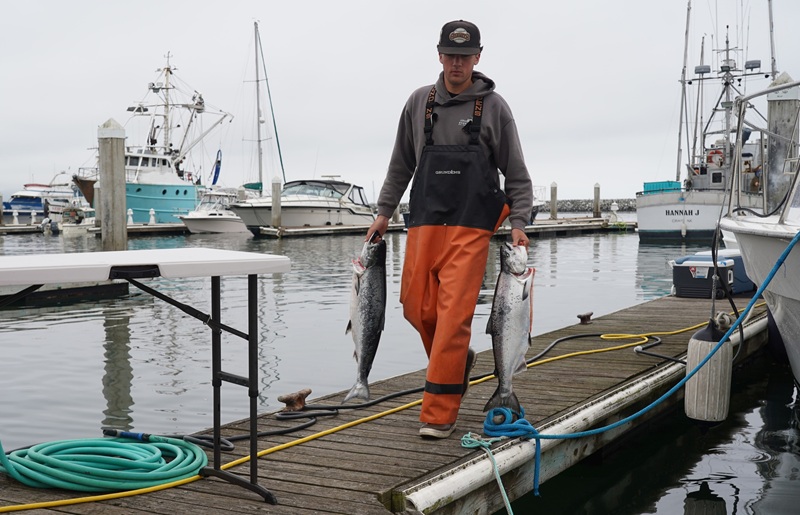 A charter boat deck hand arrives on the fishing docks with two Chinook salmon in hand.