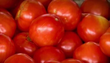 Soaring tomato prices eating into some San Diego restaurant’s profits – NBC 7 San Diego